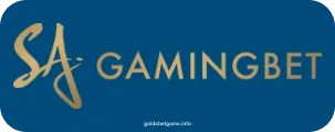 Gaming Bet